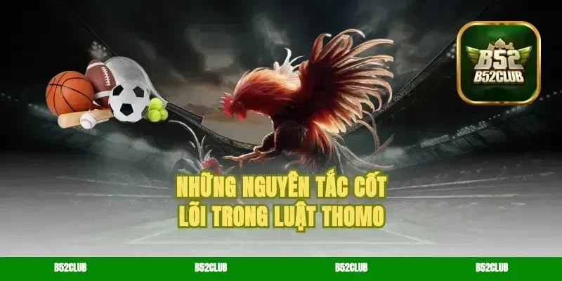 Những nguyên tắc cốt lõi trong luật Thomo