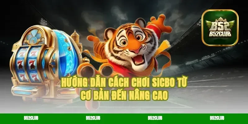 Hướng Dẫn Cách Chơi Sicbo Từ Cơ Bản Đến Nâng Cao