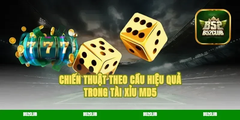 Chiến Thuật Theo Cầu Hiệu Quả Trong Tài Xỉu MD5