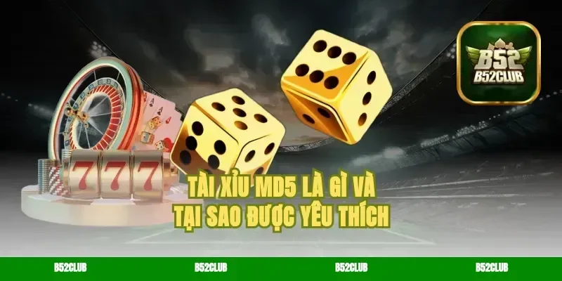 Tài Xỉu MD5 Là Gì Và Tại Sao Được Yêu Thích